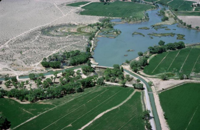 Douglas County exists in a floodplain and has experienced several extreme flooding events over the past few decades. The devastating flood in 1997 tore through trees along the riverbed and wiped out homes, destroying the livelihood of residents. Vegetation surrounding the headwaters of a river can increase infiltration and ultimately slow the flow of waters, resulting in less drastic floods downstream.